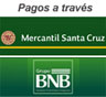 Formas de pago en Bolivia