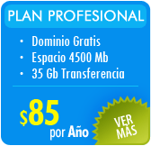 Hosting Chile - Profesional
