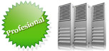 web hosting Honduras profesional